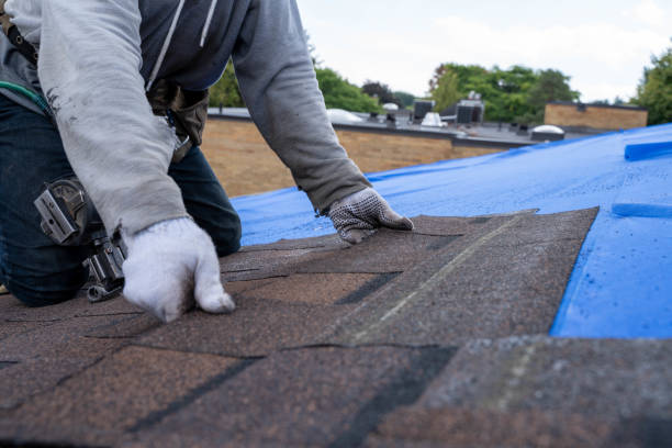 Best Roof Waterproofing Services  in Bell Nyon, CA